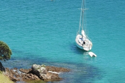 catamaran charter bay of islands